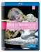 Chin: Alice In Wonderland