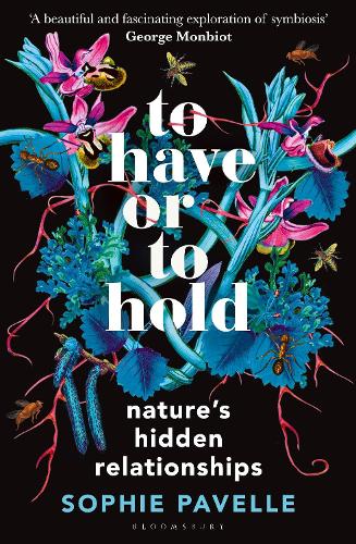To Have or To Hold