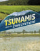 Tsunamis and the Environment