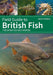 Field Guide to British Fish