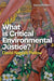 What is Critical Environmental Justice?