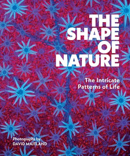 The Shape of Nature