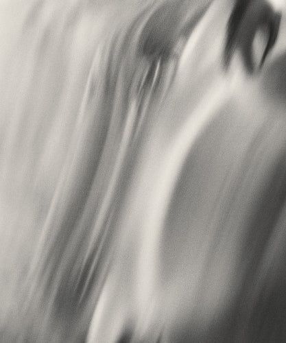 Henry O. Head: Twelve Acres