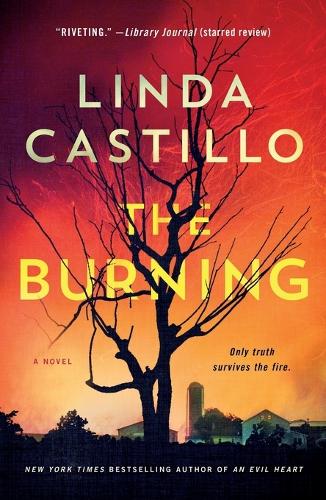 The Burning: 16 (Kate Burkholder