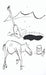 Bury Your Horses