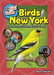 Kids' Guide to Birds of New York