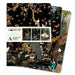 Ashmolean Museum Set of 3 Standard Notebooks