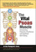 The Vital Psoas Muscle