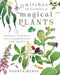 The Witches' Encyclopedia of Magical Plants