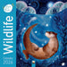 Bex Parkin: Wildlife Wall Calendar 2026 (Art Calendar
