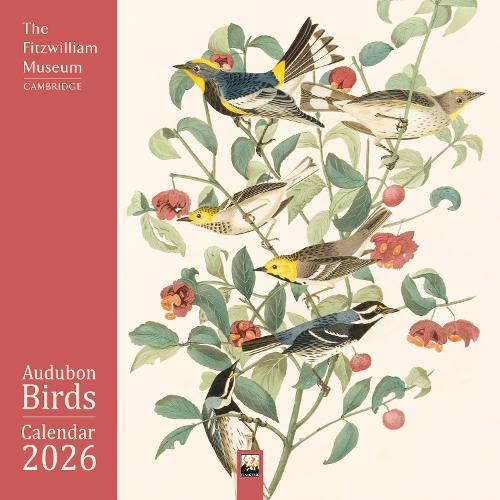 Fitzwilliam Museum: Audubon Birds Wall Calendar 2026 (Art Calendar