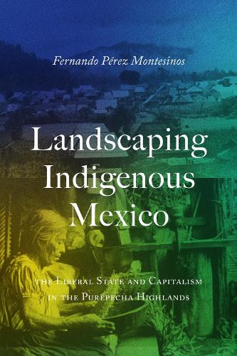 Landscaping Indigenous Mexico