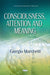 Consciousness, Attention & Meaning
