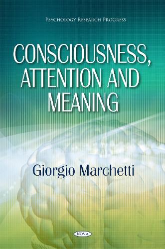 Consciousness, Attention & Meaning