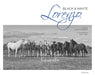 Lorenzo Black & White