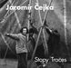 Jaromír Čejka: Traces