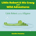 Little Robert & His Crazy and Wild Adventures