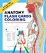 Anatomy Flash Cards Coloring