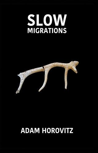 Slow Migrations
