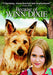 Because Of Winn-Dixie