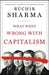 What Went Wrong with Capitalism