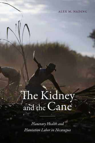 The Kidney and the Cane: Planetary Health and Plantation Labor in Nicaragua (Critical Global Health: Evidence, Efficacy, Ethnography