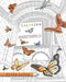 Coloring Insectopolis
