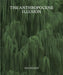 The Anthropocene Illusion