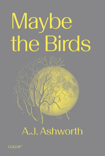 Maybe the Birds