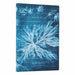 Sea Flowers (Anna Atkins’ Cyanotypes) Mini Lined Softcover Journal (Elastic Band Closure)