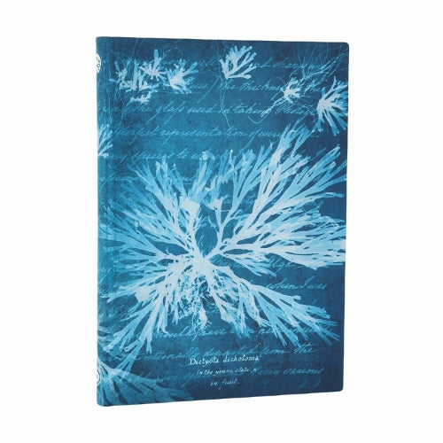 Sea Flowers (Anna Atkins’ Cyanotypes) Midi Unlined Softcover Journal (Elastic Band Closure)