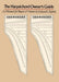 The Harpsichord Owner's Guide