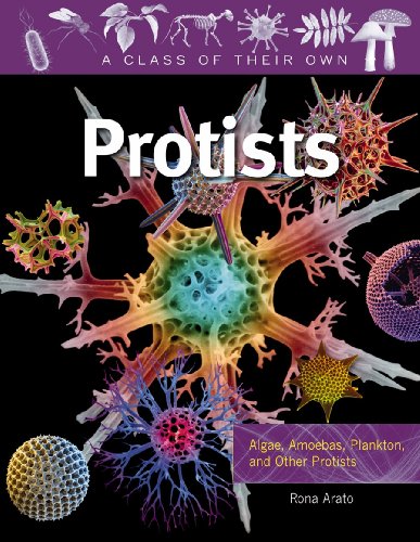 Protists
