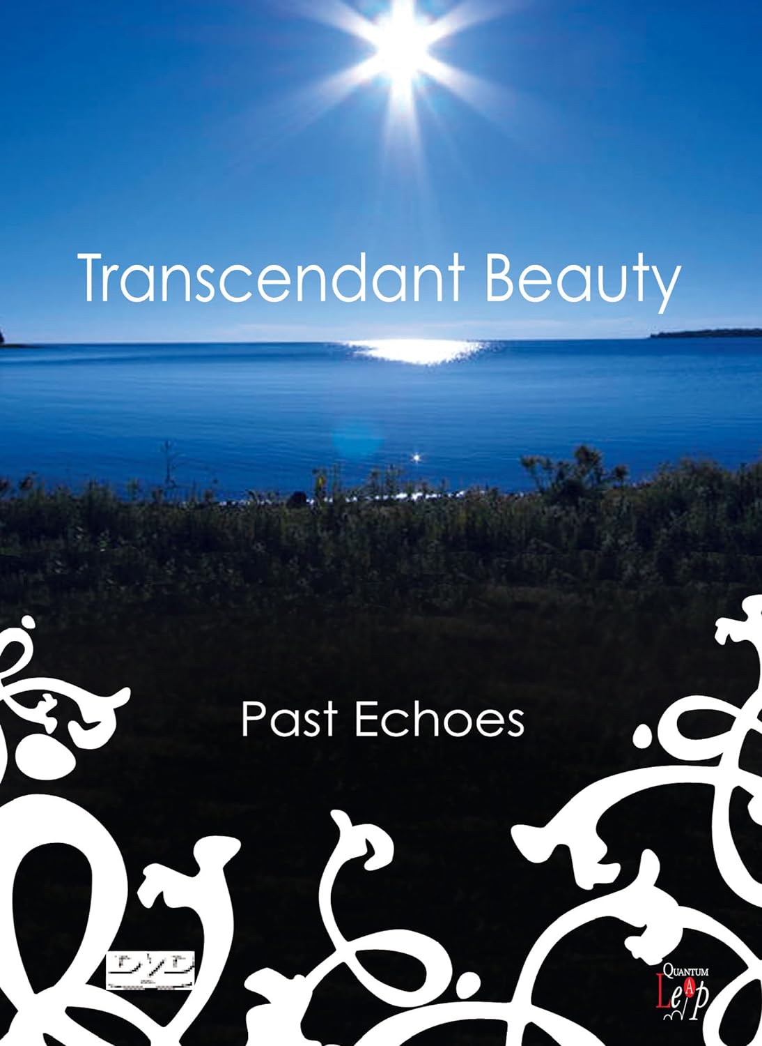 A Quantum Leap Production Past Echoes - Transcendant Beauty  With Quantum Disc Cleaning Cloth