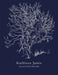 Selected Poems