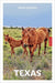 Insight Guides Texas: Travel Guide with eBook