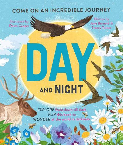 Day and Night
