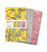 Royal Pavilion, Brighton Set of 3 Mini Notebooks