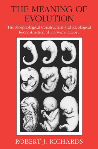 The Meaning of Evolution