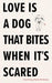 Love Is a Dog That Bites When It's Scared