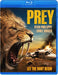 Prey
