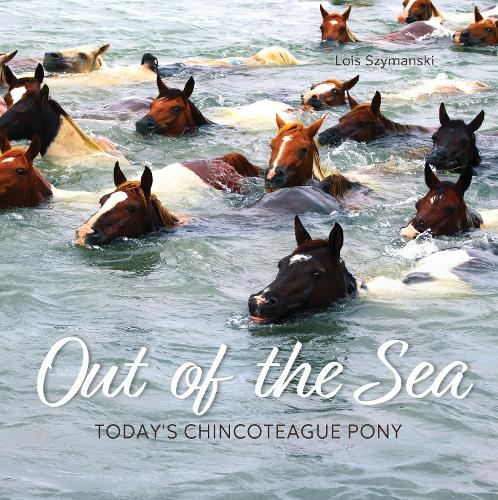 Out of the Sea: Today's Chincoteague Pony: Today's Chincoteague Pony (2nd Edition