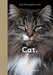 New Photography of the Cat.