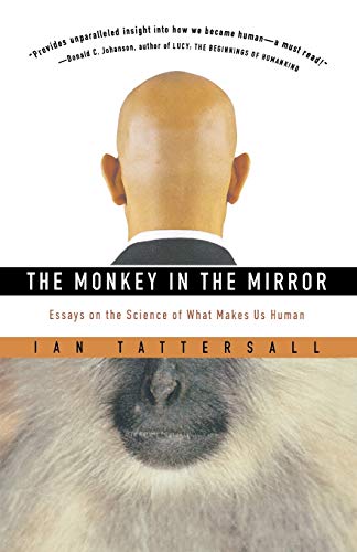Monkey In The Mirror