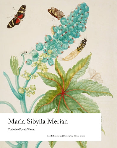 Maria Sibylla Merian (Illuminating Women Artists