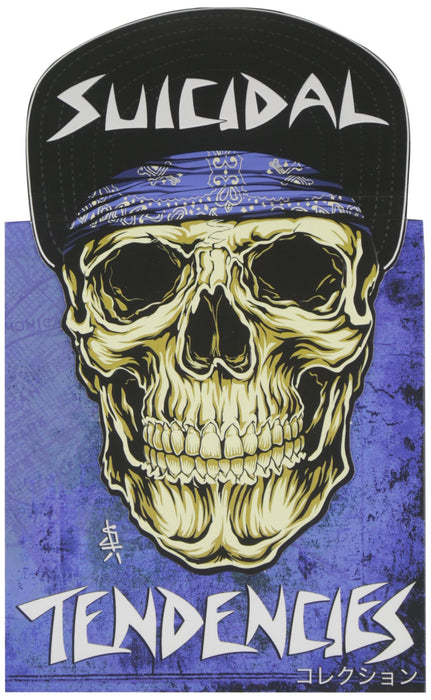 Collection  explicit_lyrics