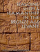 Seagoing Ships and Seamanship in the Bronze Age Levant