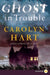 Ghost in Trouble: A Mystery: 3 (Bailey Ruth Raeburn