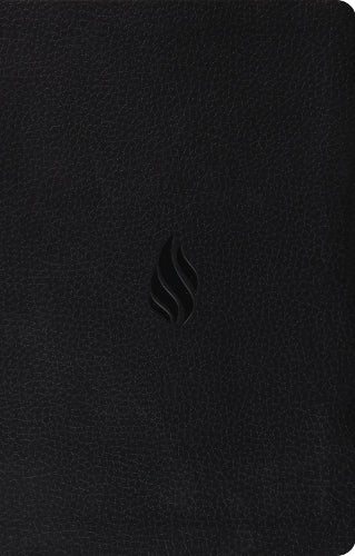 ESV Premium Gift Bible, Red Letter