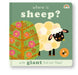 Where is sheep?